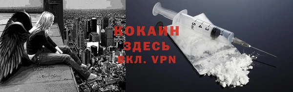 гашик Вязьма