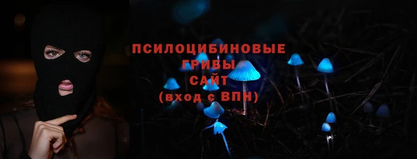 МДПВ Володарск
