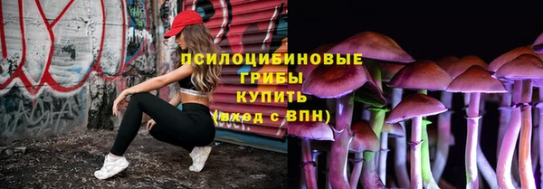 гашик Вязьма