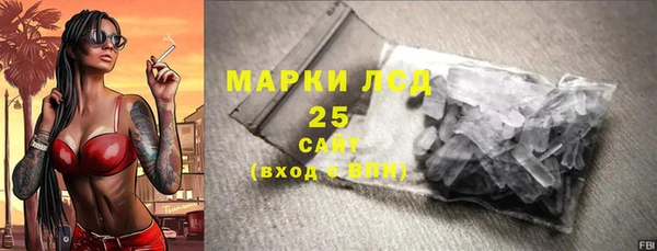 ГАЛЛЮЦИНОГЕННЫЕ ГРИБЫ Верея